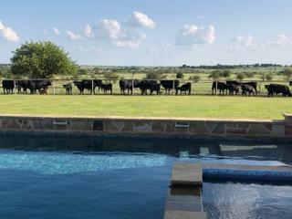 Farm Fencing on a Wise County Ranch completed by Affordable Fencing in Springtown, TX