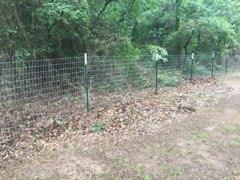 Green net wire fencing through a wooded pasture in Wise County